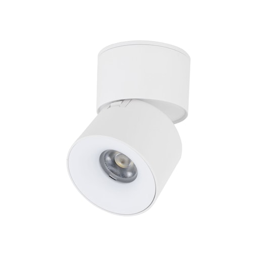 Reflektor LED TK Lighting SPARK WHITE CCT 10W biały ruchomy regulacja barwy światła 230V IP20