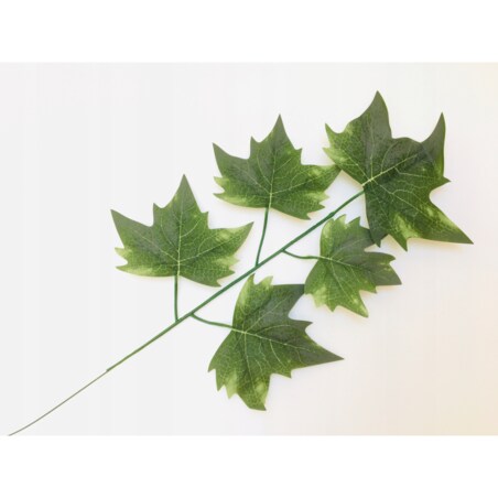 LIŚĆ PIK dodatek do bukietu stroika CIEMNY ZIELONY kompozycja gałązka klonu