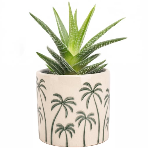 DONICZKA PALMY CERAMICZNA 12cm mała do salonu osłonka palma na parapet