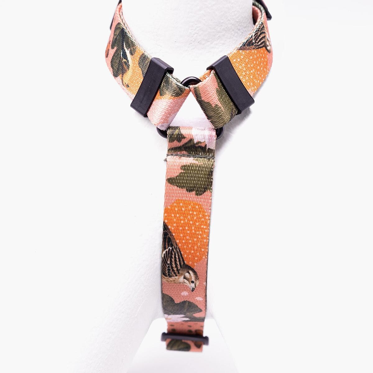 Szelki dla psa lub kota typu guard "Wie wiórka co dobre" - Szerokość taśmy: 38mm, Rozmiar: L