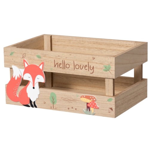 Skrzynka do przechowywania FOXY, 20,5 x 30,5 x 14,5 cm