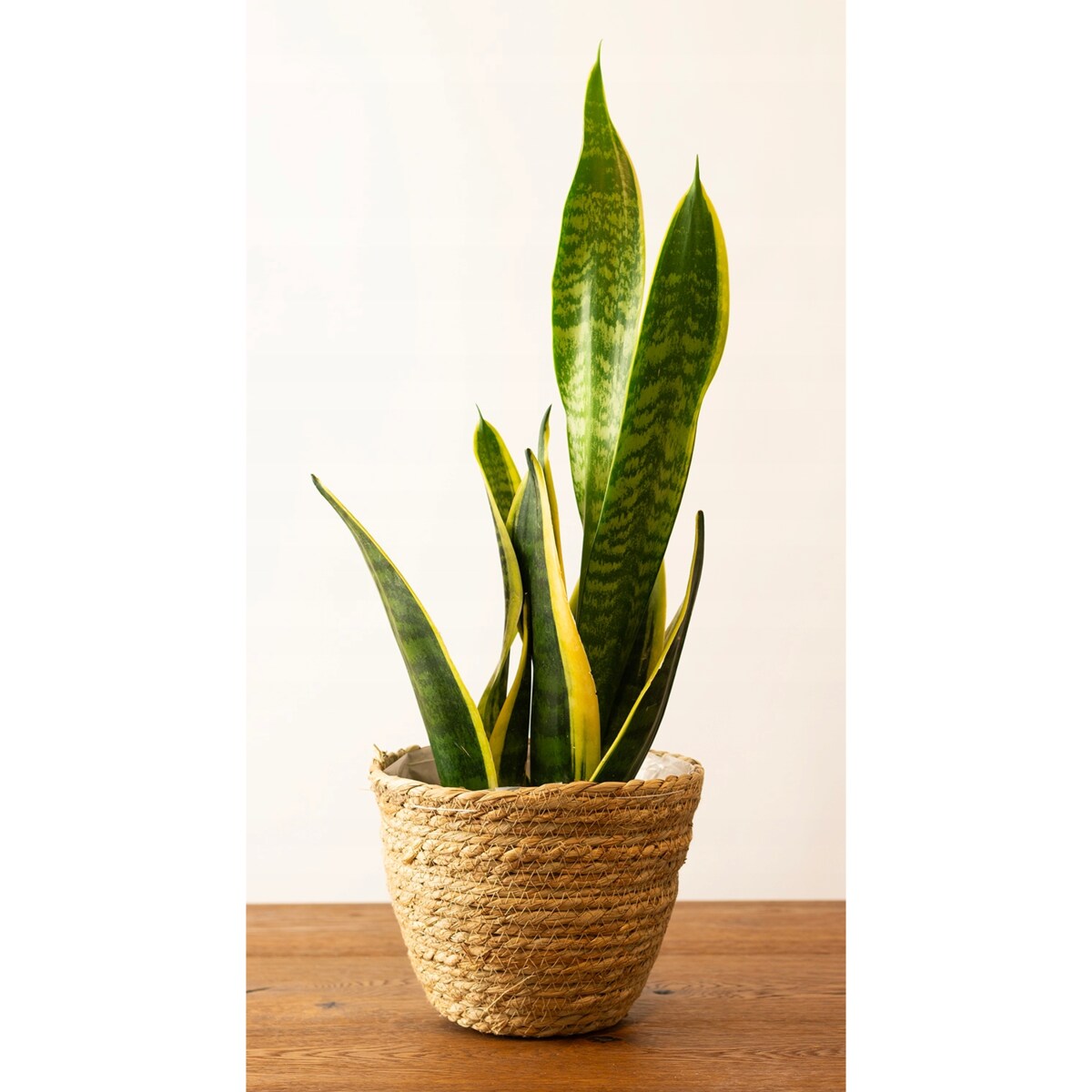 DONICZKA osłonka DUŻA NATURALNA styl boho dekoracyjna okrągła doniczka 20cm