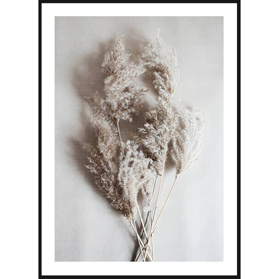 Poster Story, Plakat, Obraz - Trawa Dekoracyjna, wymiary 70 x 100 cm