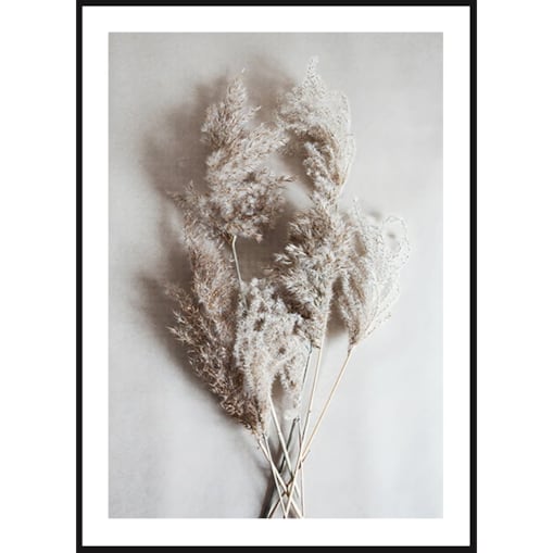 Poster Story, Plakat, Obraz - Trawa Dekoracyjna, wymiary 70 x 100 cm