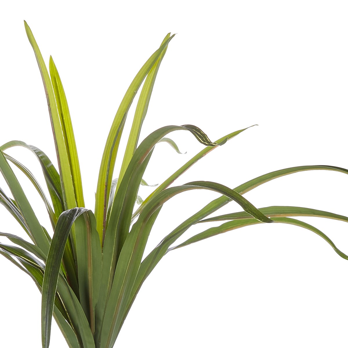 Sztuczna roślina DRACAENA ANITA 147 cm Zielony
