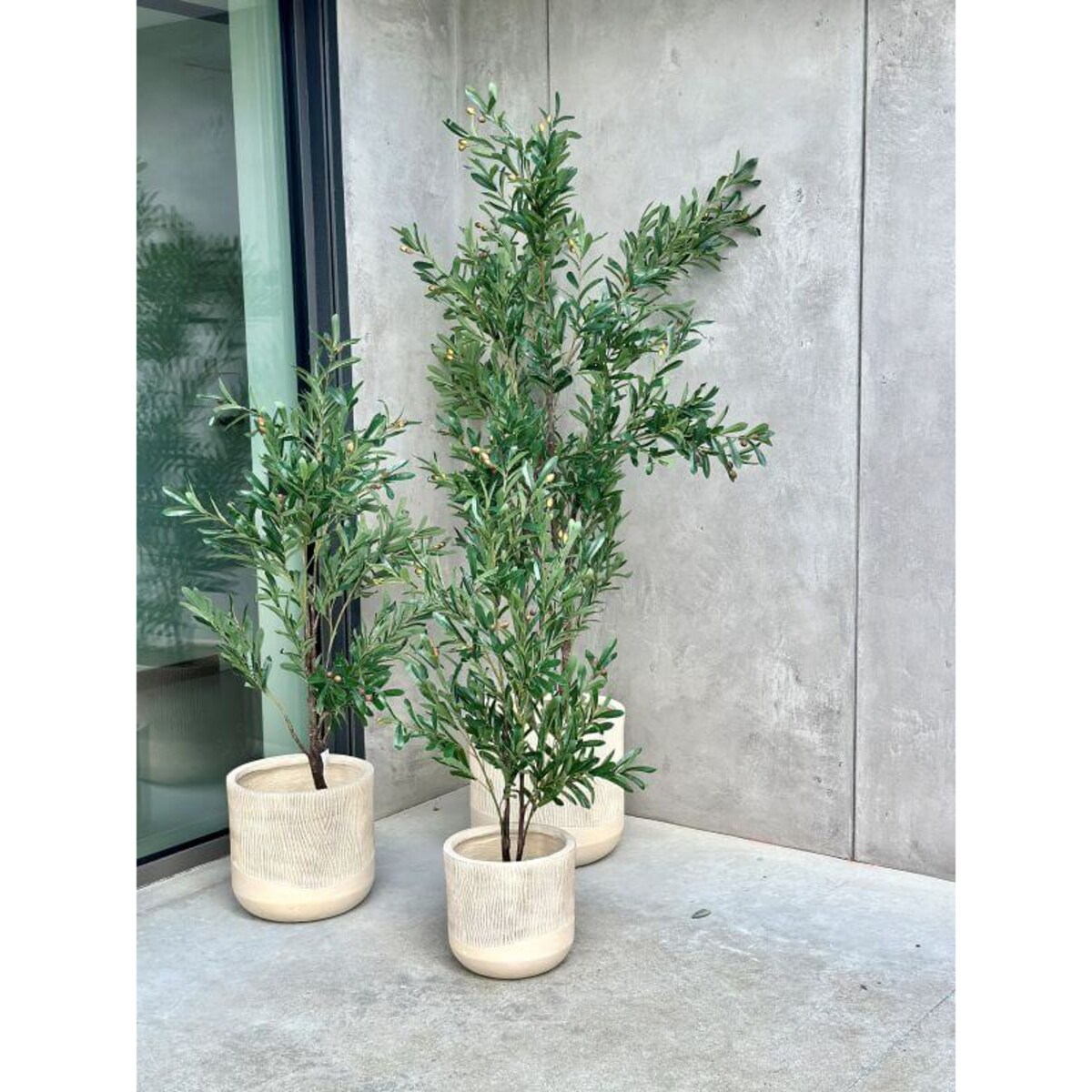 DUŻE DRZEWKO OLIWNE 180 cm - DEKORACJA INSPIROWANA NATURĄ