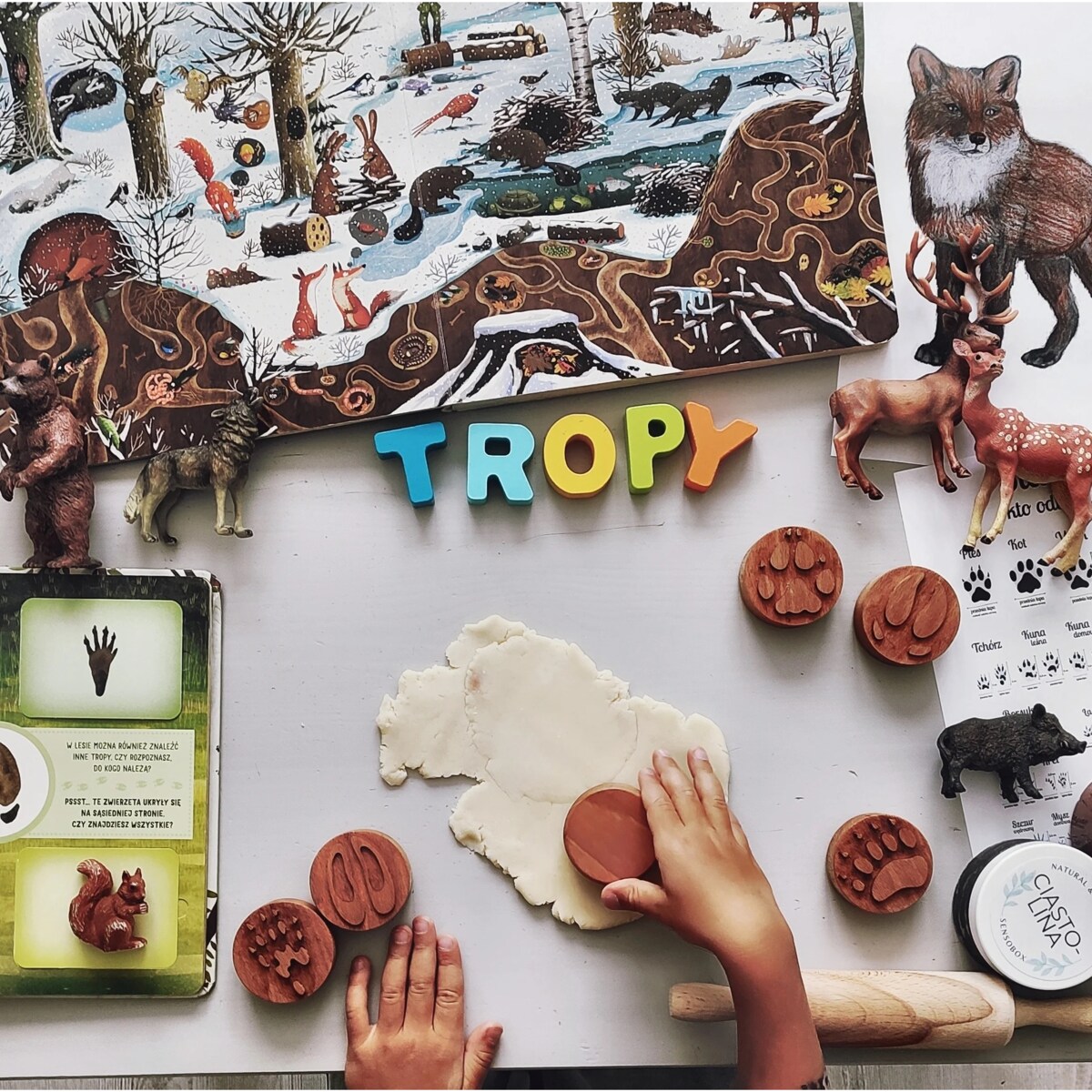 Drewniane stemple tropy leśnych zwierząt