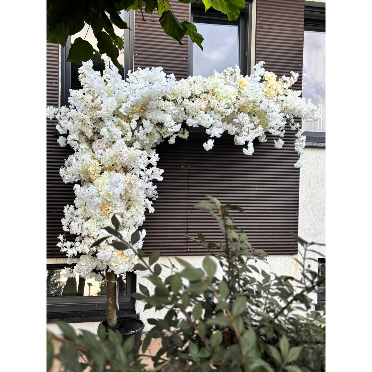 Drzewo kwitnącej wiśni kremowo-biała boczna na naturalnym pniu 220 cm