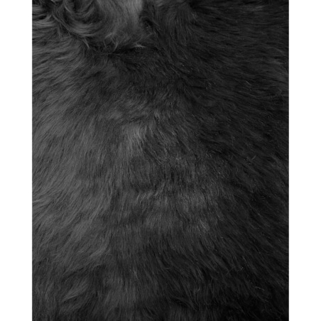 Skóra owcza czarna ULURU
