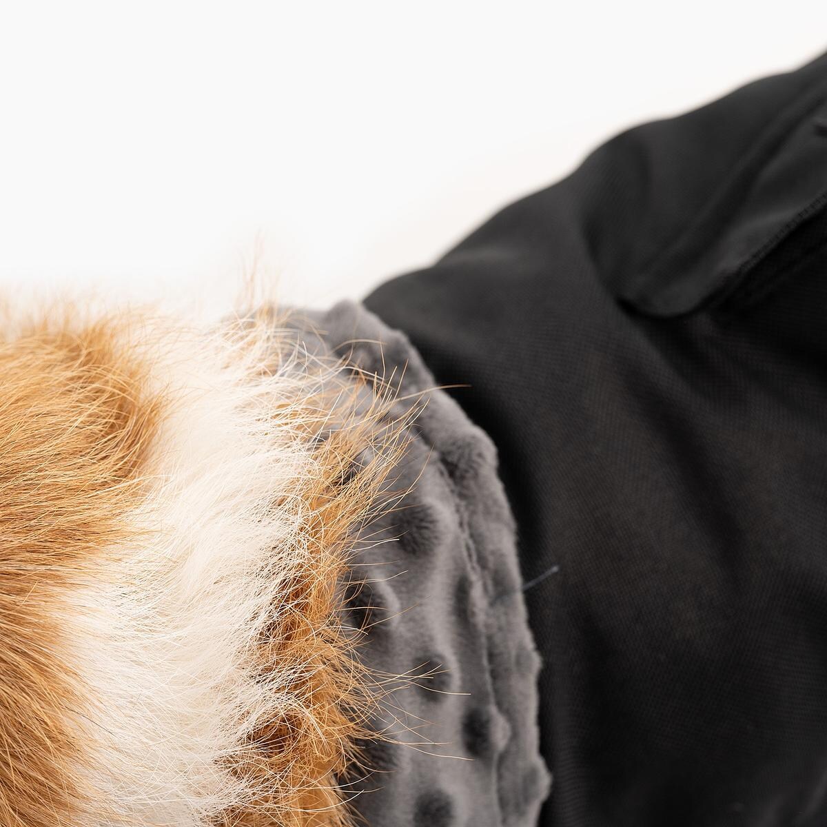 Kurtka dla psa "Psygarnij kropka" - Rozmiar: XS