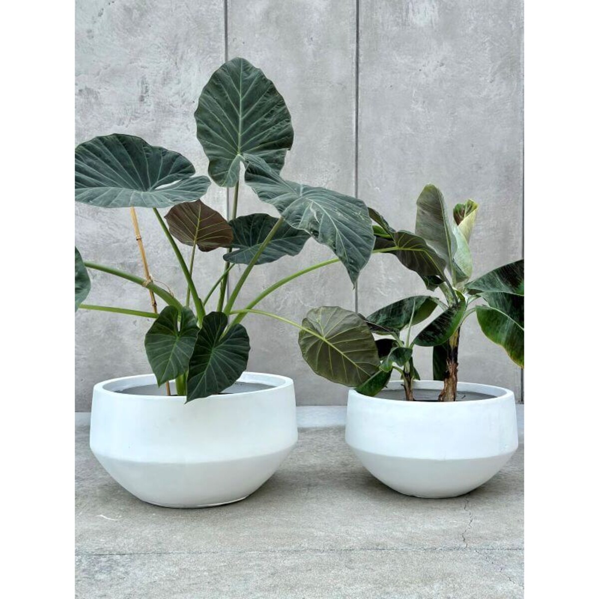 ZESTAW DONICZEK AMANDO BIAŁE