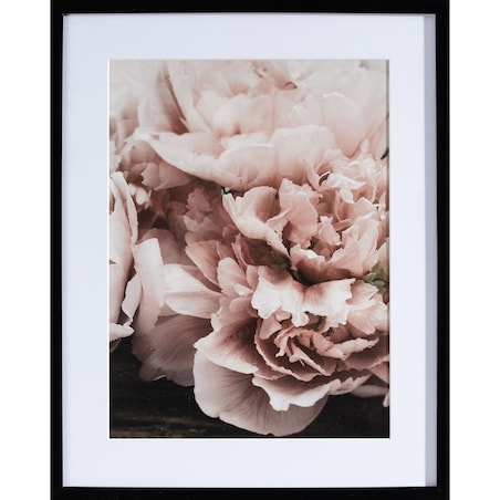 Obraz Peony Sunset I 40x50cm, 40x50cm