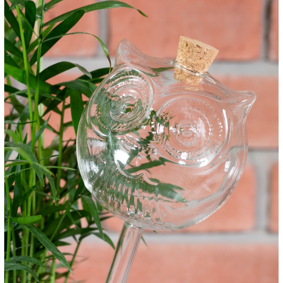 KULA NAWADNIAJĄCA sowa SZKLANA nawadniacz do doniczki kwiatów 220ml