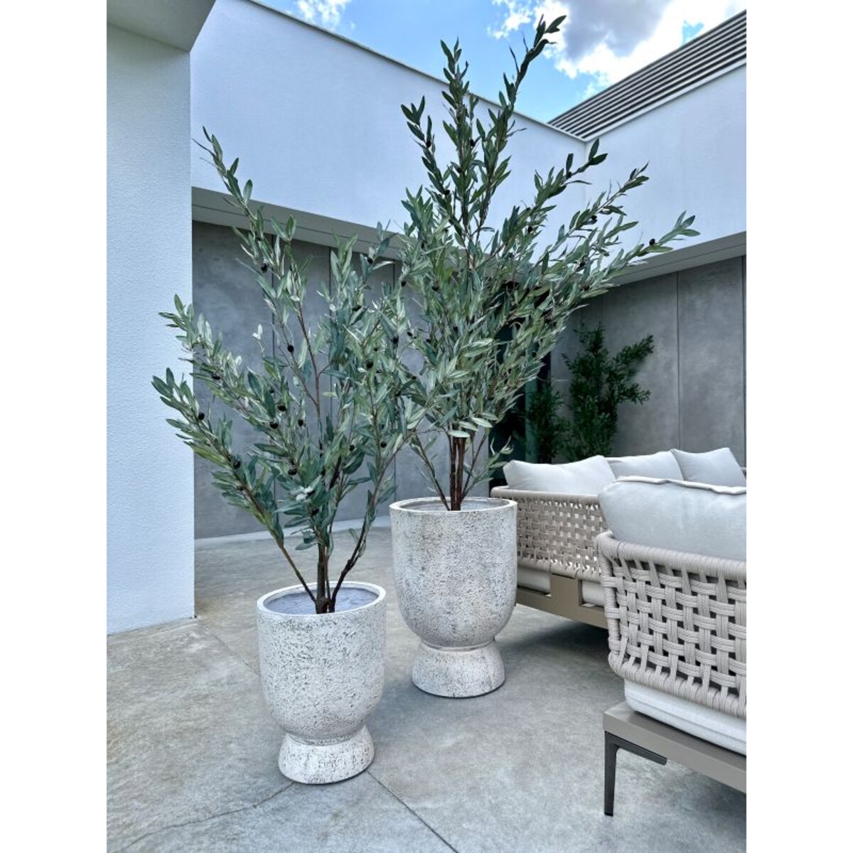 DUŻE DRZEWKO OLIWNE SZARE 190 cm