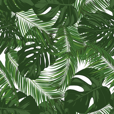 Tapeta Egzotyczne LIŚCIE Tropikalne Rośliny