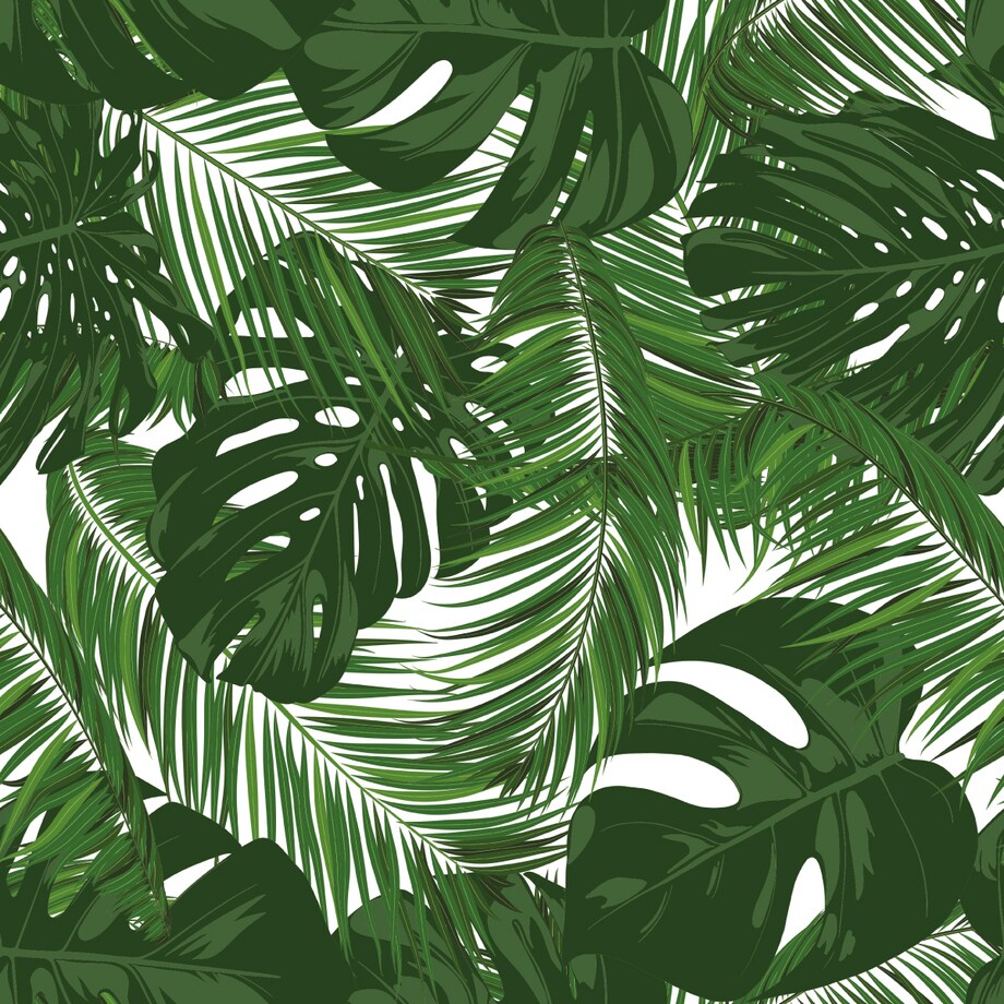 Tapeta Egzotyczne LIŚCIE Tropikalne Rośliny