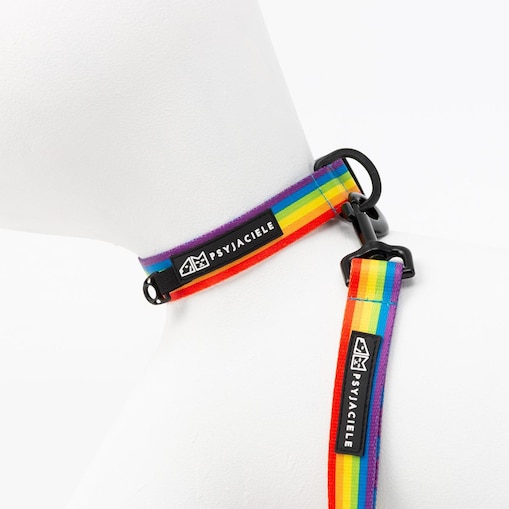 Obroża dla psa lub kota "Miłość, równość, gryzaki" - Szerokość taśmy: 38mm, Rozmiar: M