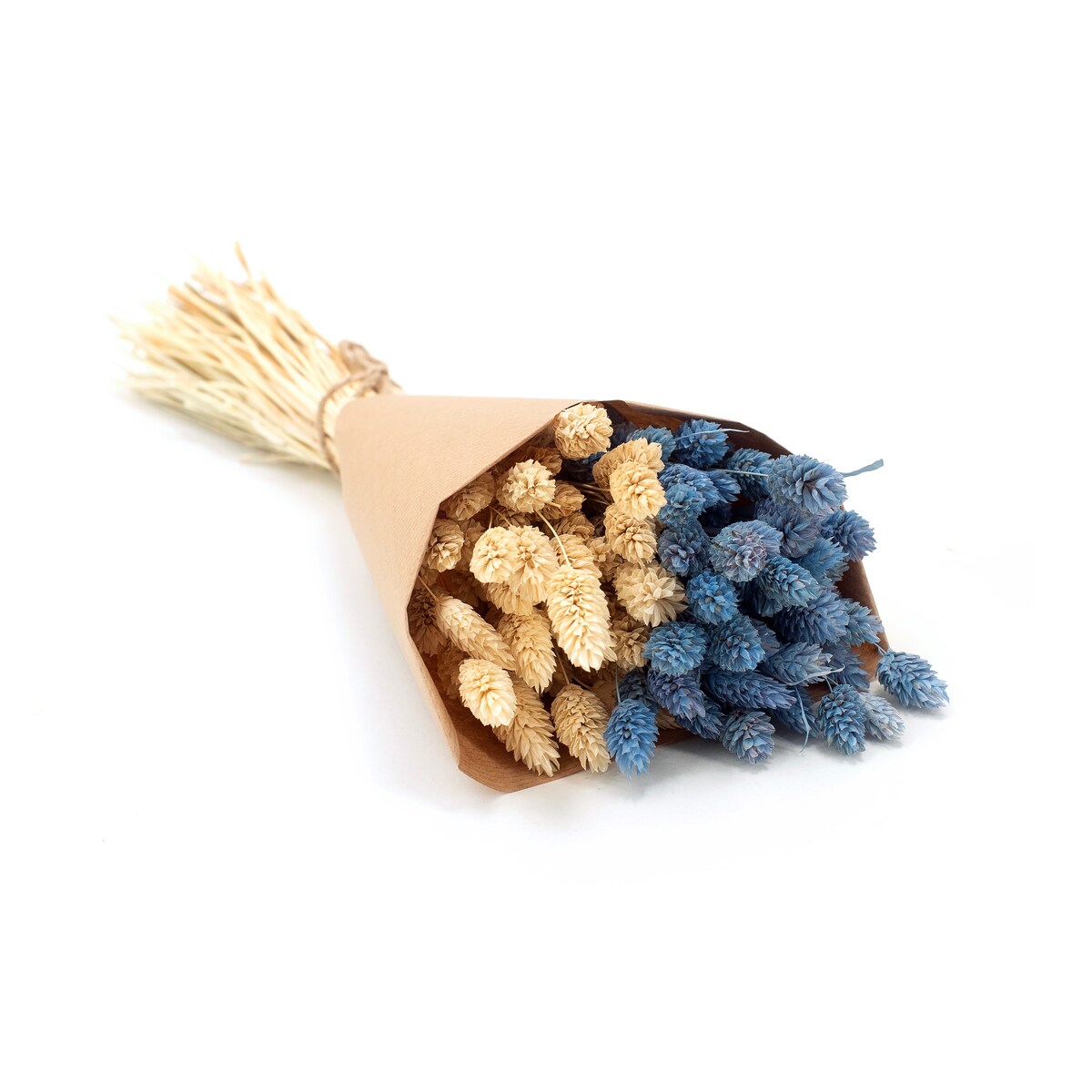 Zestaw duo suszonych traw phalaris niebieski & phalaris bielony - bukiet