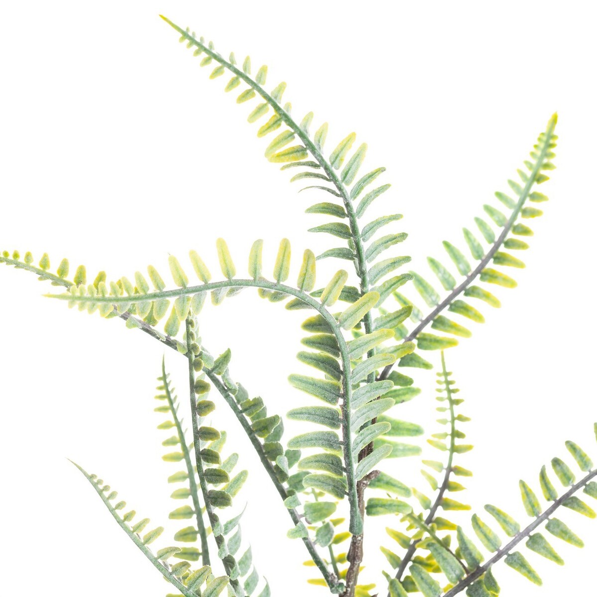 Paproć na gałązce 60cm, 10 x 10 x 60 cm
