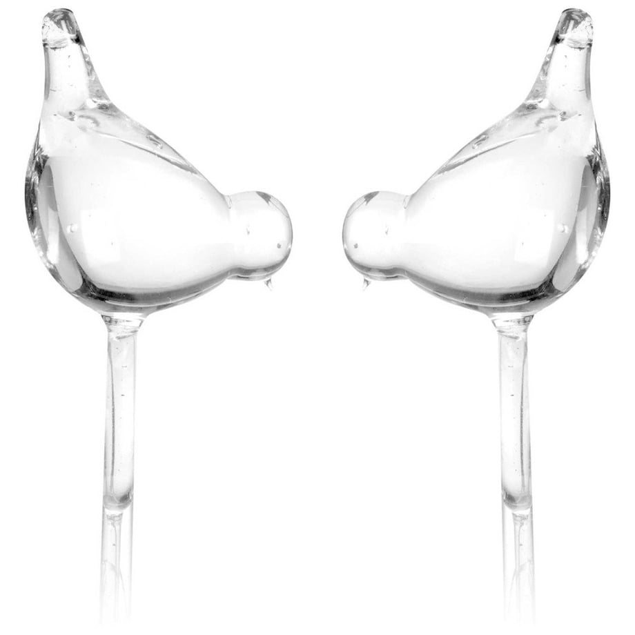 Szklany nawadniacz do podlewania roślin PTAK - 2 sztuki w komplecie