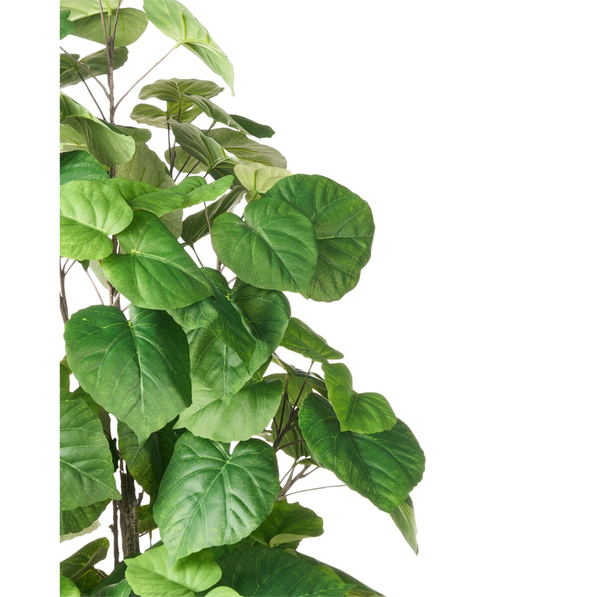 Sztuczna roślina FICUS TREE 160 cm Zielony