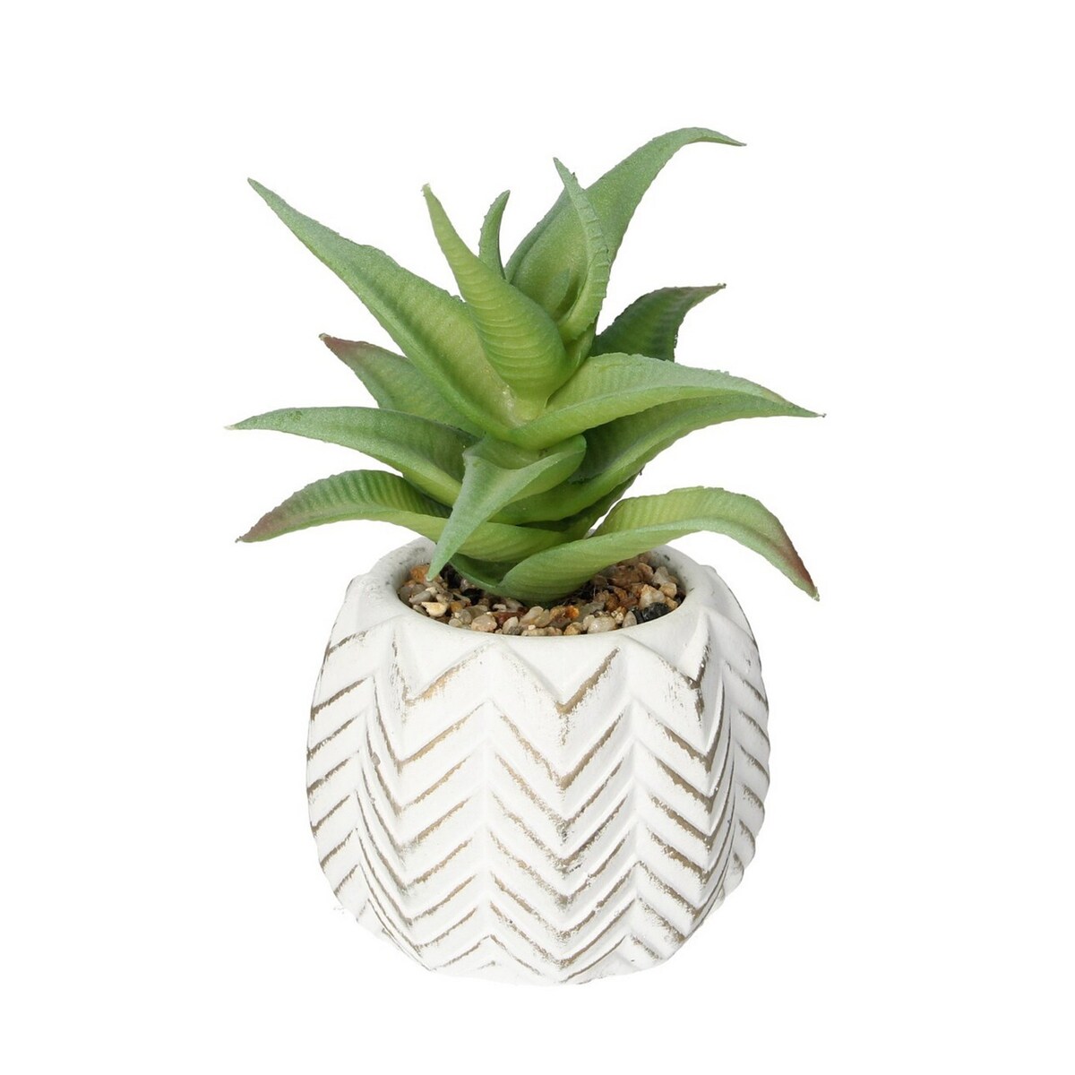 Dekoracja Aloes I 14cm, 8 x 8 x 14 cm