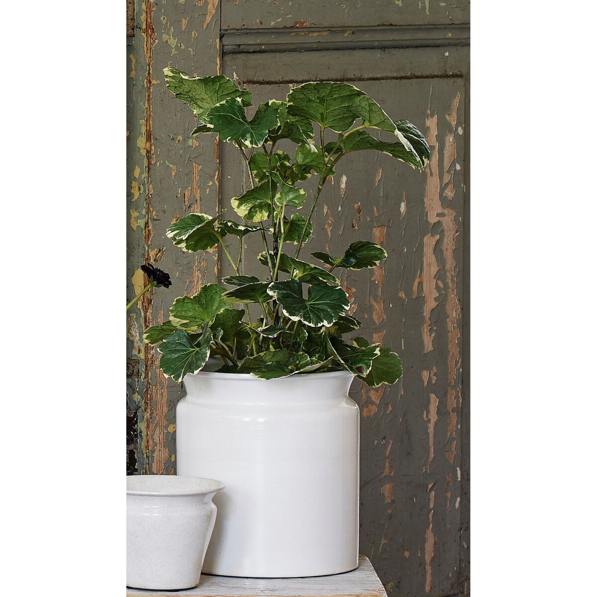 OSŁONKA DONICA WYSOKA BIAŁA 17cm doniczka metalowa do salonu prezent