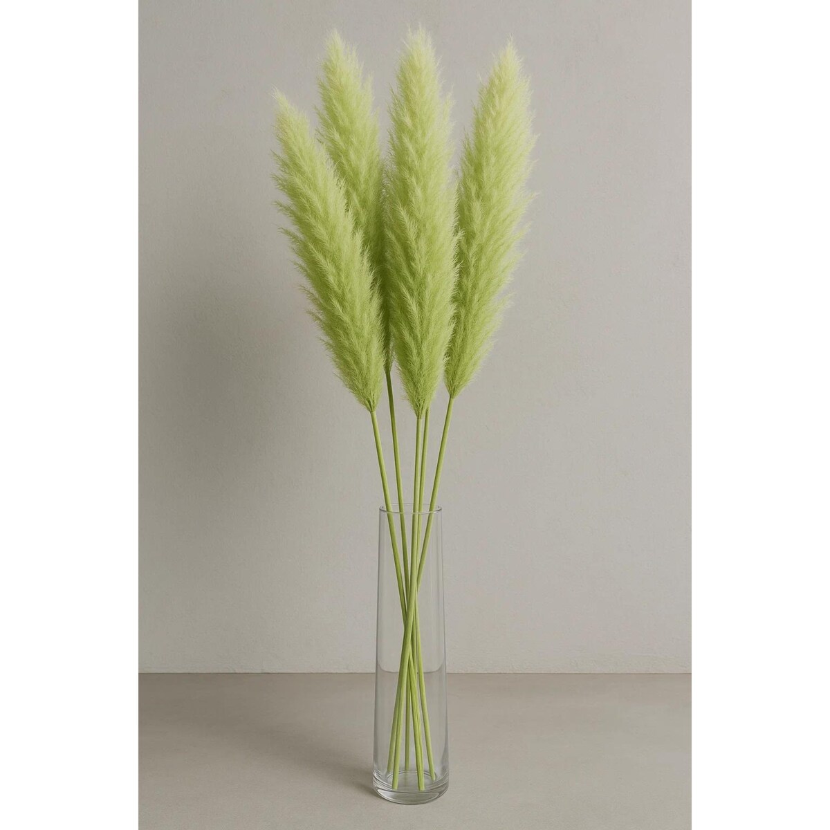 Zestaw 5 sztuk zielonych stabilizowanych Traw Pampasowych| Wysokość 160 cm