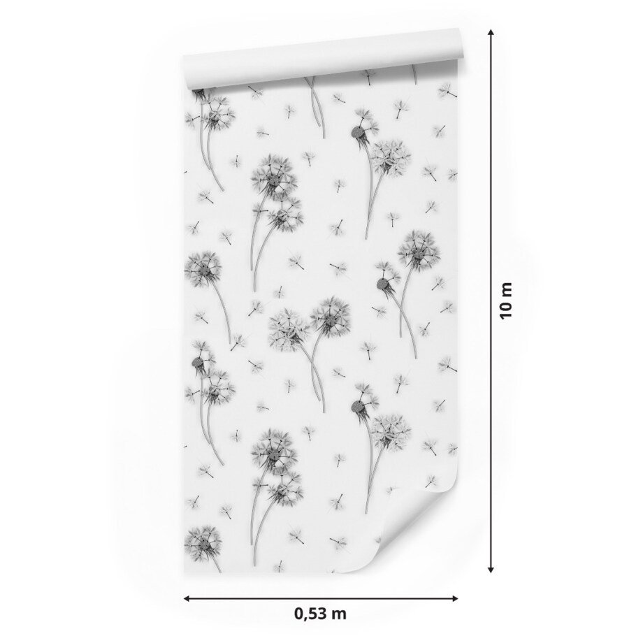 Tapeta Czarno-Białe DMUCHAWCE Natura