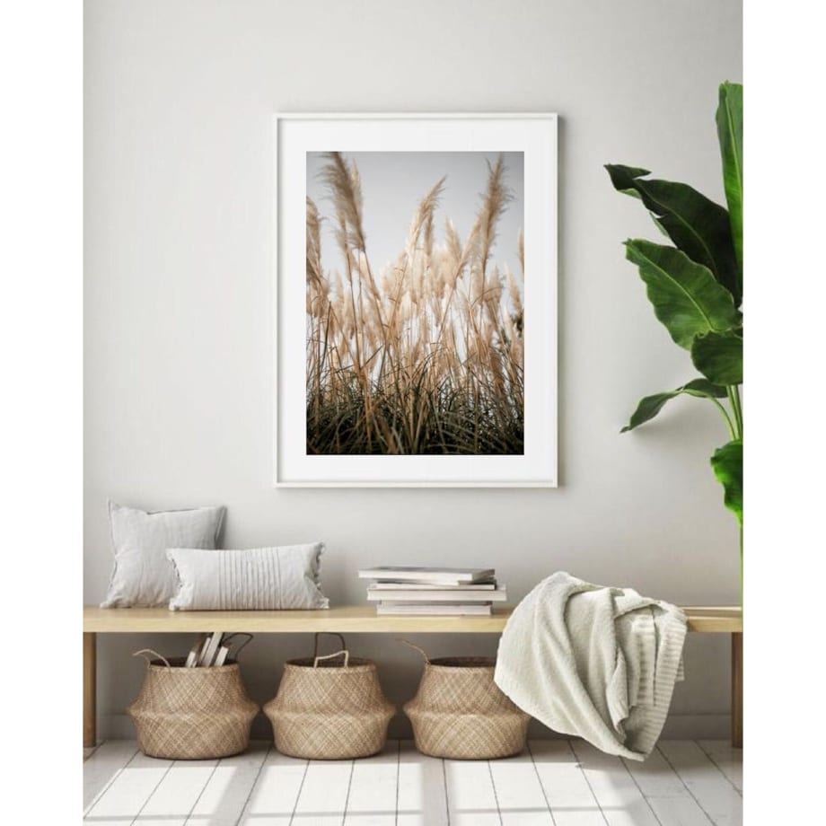 Poster Story, Plakat, Obraz - Trawa Plażowa, wymiary 70 x 100 cm