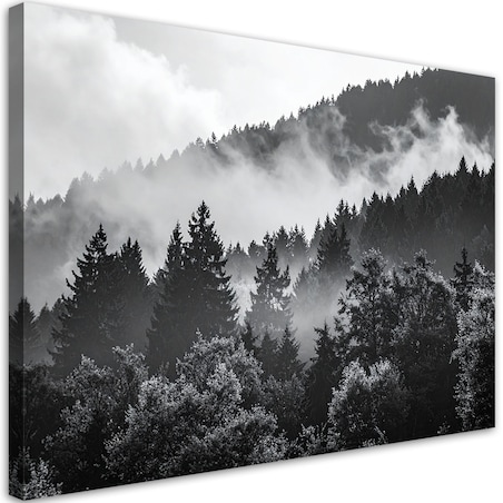 Obraz do salonu sypialni jadalni, Las we mgle czarno biały 60x40