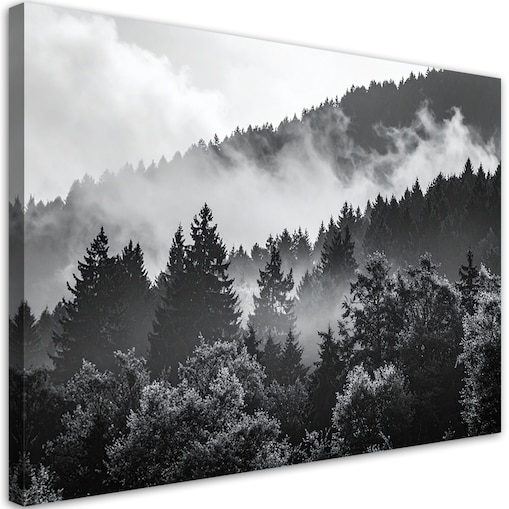 Obraz do salonu sypialni jadalni, Las we mgle czarno biały 60x40