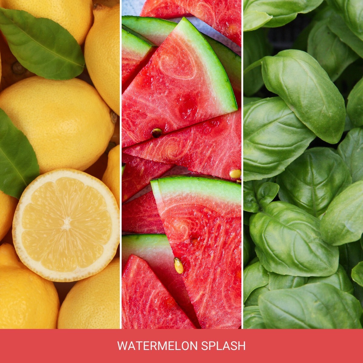 Home Inspiration świeca średnia WATERMELON SPLASH