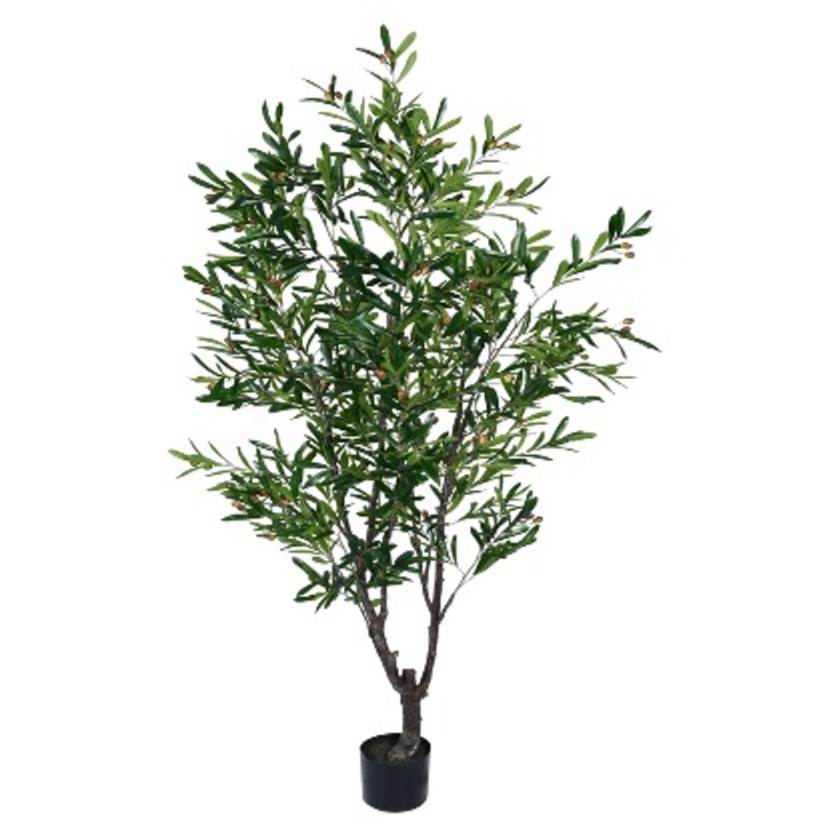 DUŻE DRZEWKO OLIWNE - 210 cm