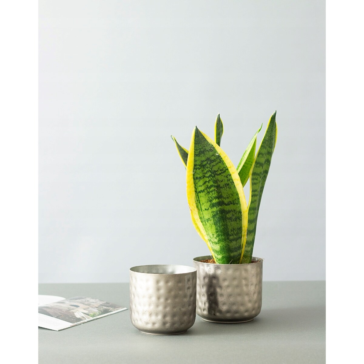 2 szt. DONICA BIM szara, metalowa