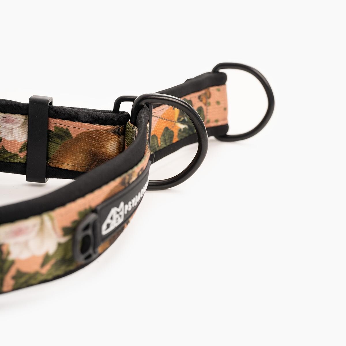 Obroża półzaciskowa SUPER SOFT "Wie wiórka co dobre" - Szerokość taśmy: 38mm, Rozmiar: XL