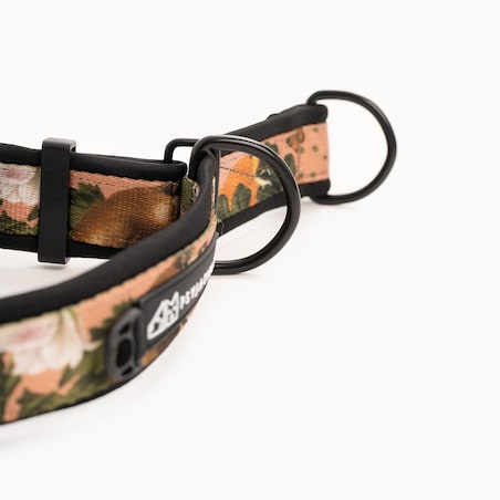 Obroża półzaciskowa SUPER SOFT "Wie wiórka co dobre" - Szerokość taśmy: 38mm, Rozmiar: XL