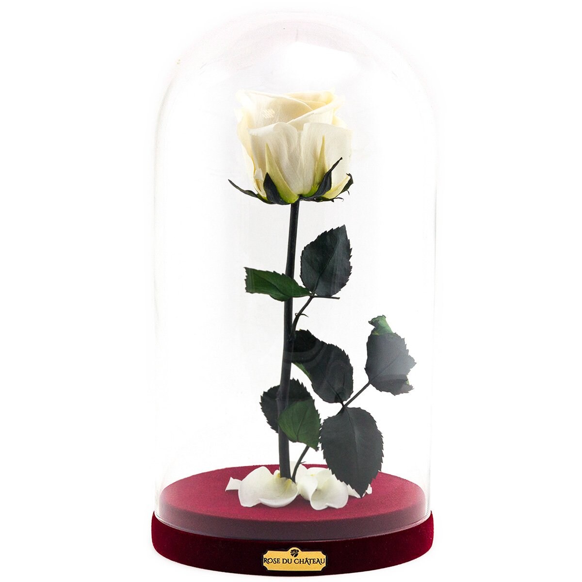 Biała Wieczna Róża w Szkatułce Beauty & The Beast