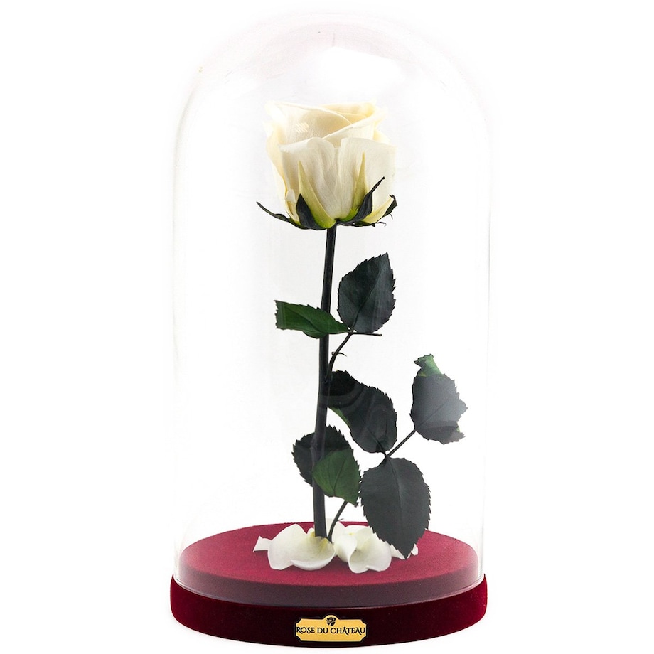 Biała Wieczna Róża w Szkatułce Beauty & The Beast
