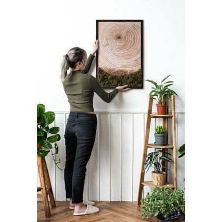 Obraz Słoje drewna - mech chrobotek w czarnej ramie 40x60cm