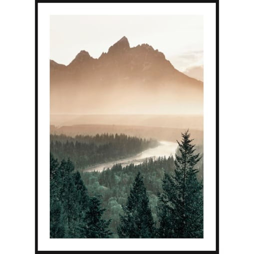 Poster Story, Plakat, Obraz - Las Sosnowy w Górach, wymiary 21 x 30 cm