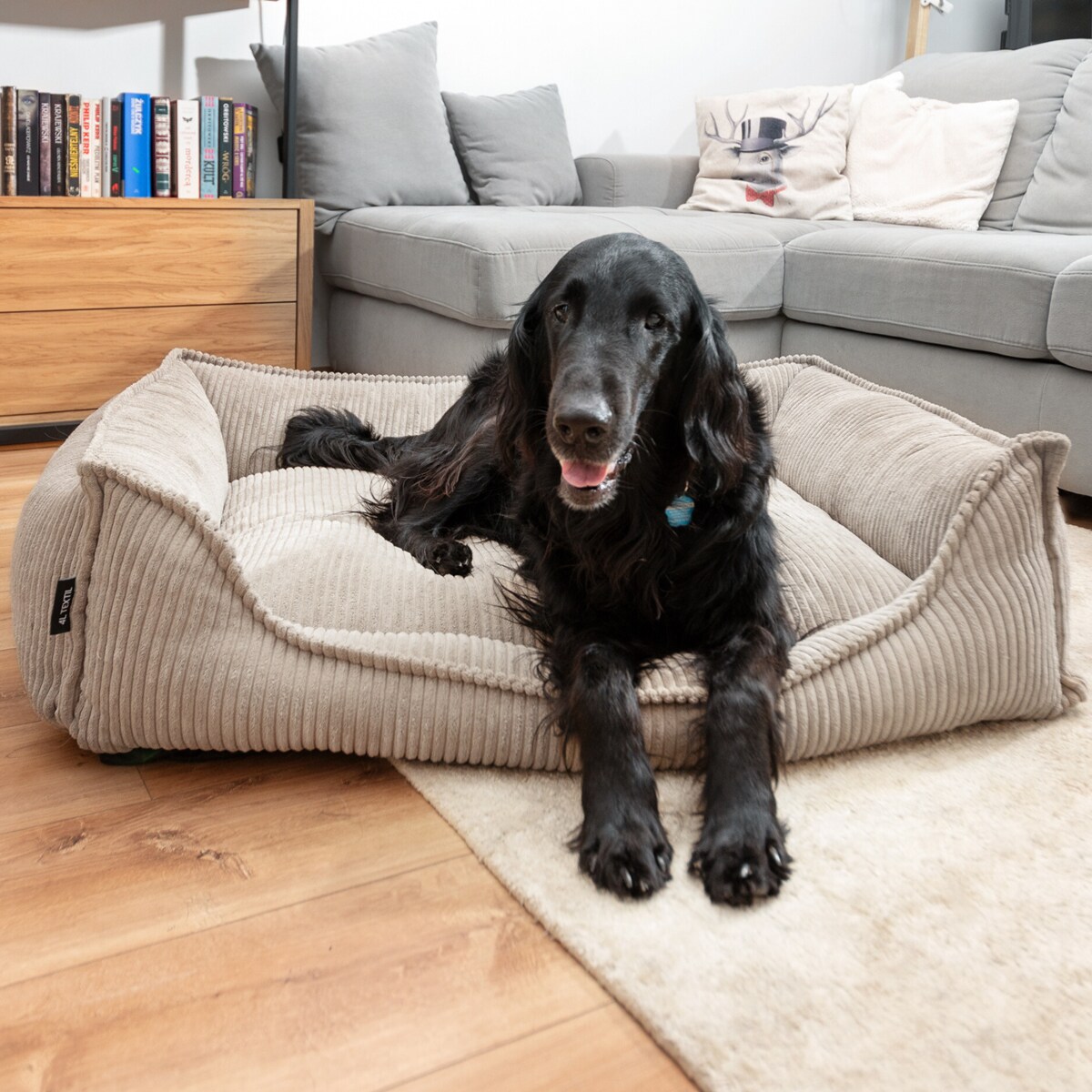 Ortopedyczne sztruksowe legowisko dla psa HUGO, 60x40 cm, Beż
