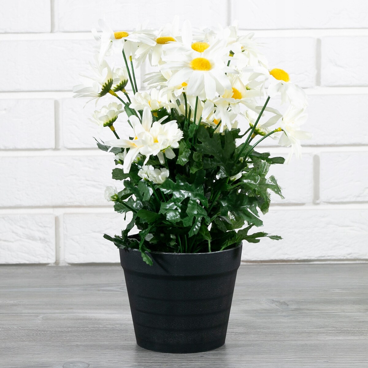 SZTUCZNE STOKROTKI W DONICZCE