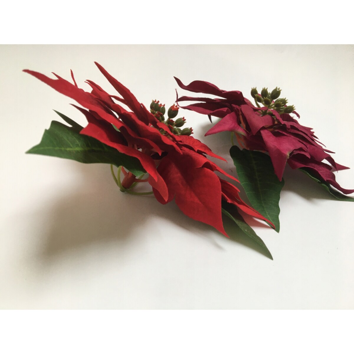 GWIAZDA WELUROWA duża poinsecja BETLEJEMSKA CZERWONA jak żywa na bukiet