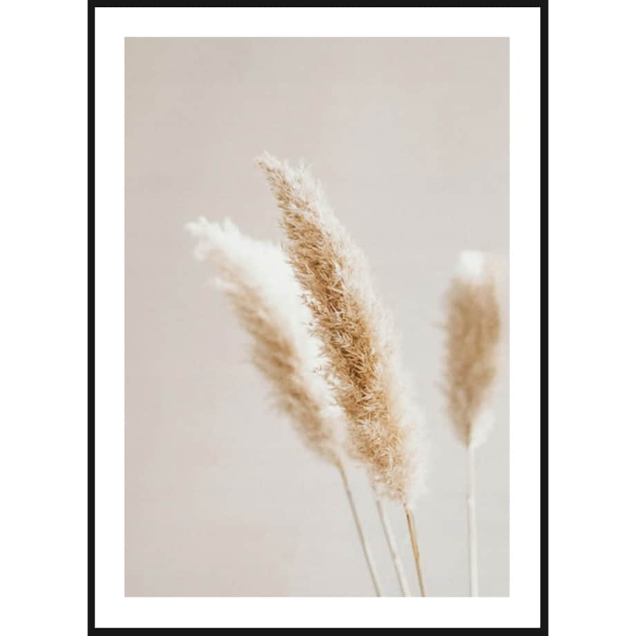 Poster Story, Plakat, Obraz - Suszona Trawa Pampasowa Ecru, wymiary 50 x 70 cm