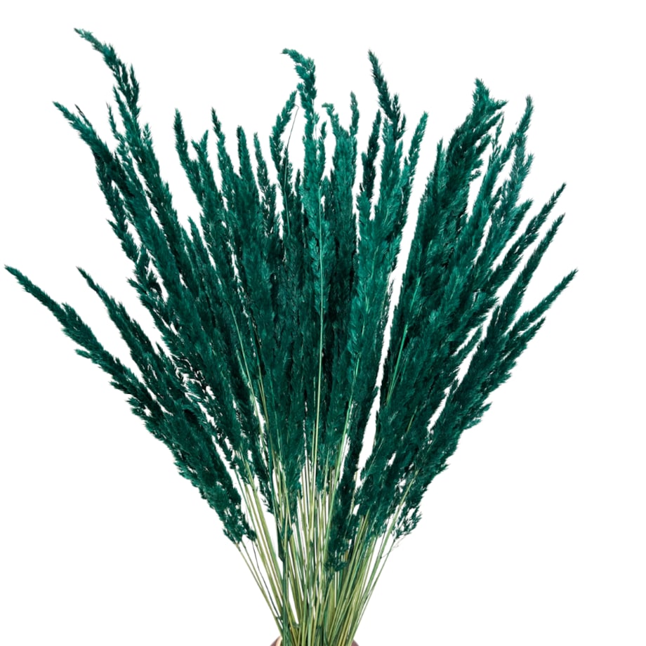 Suszona trawa leśna petrol - trawy ozdobne