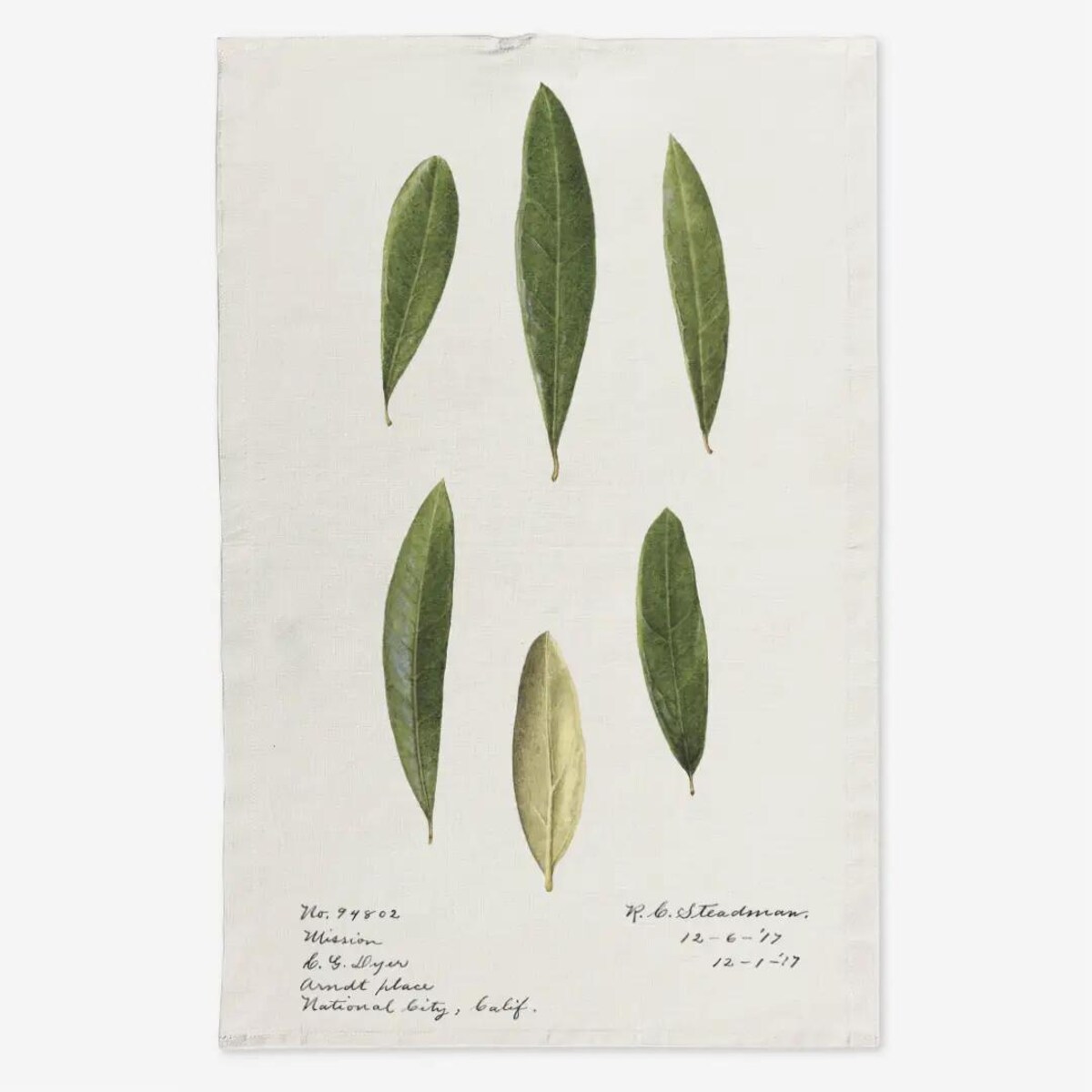 Lniany ręcznik kuchenny - liście