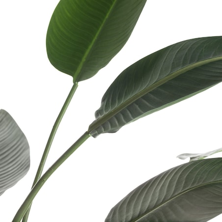 Sztuczna roślina bananowiec, wys. 185 cm