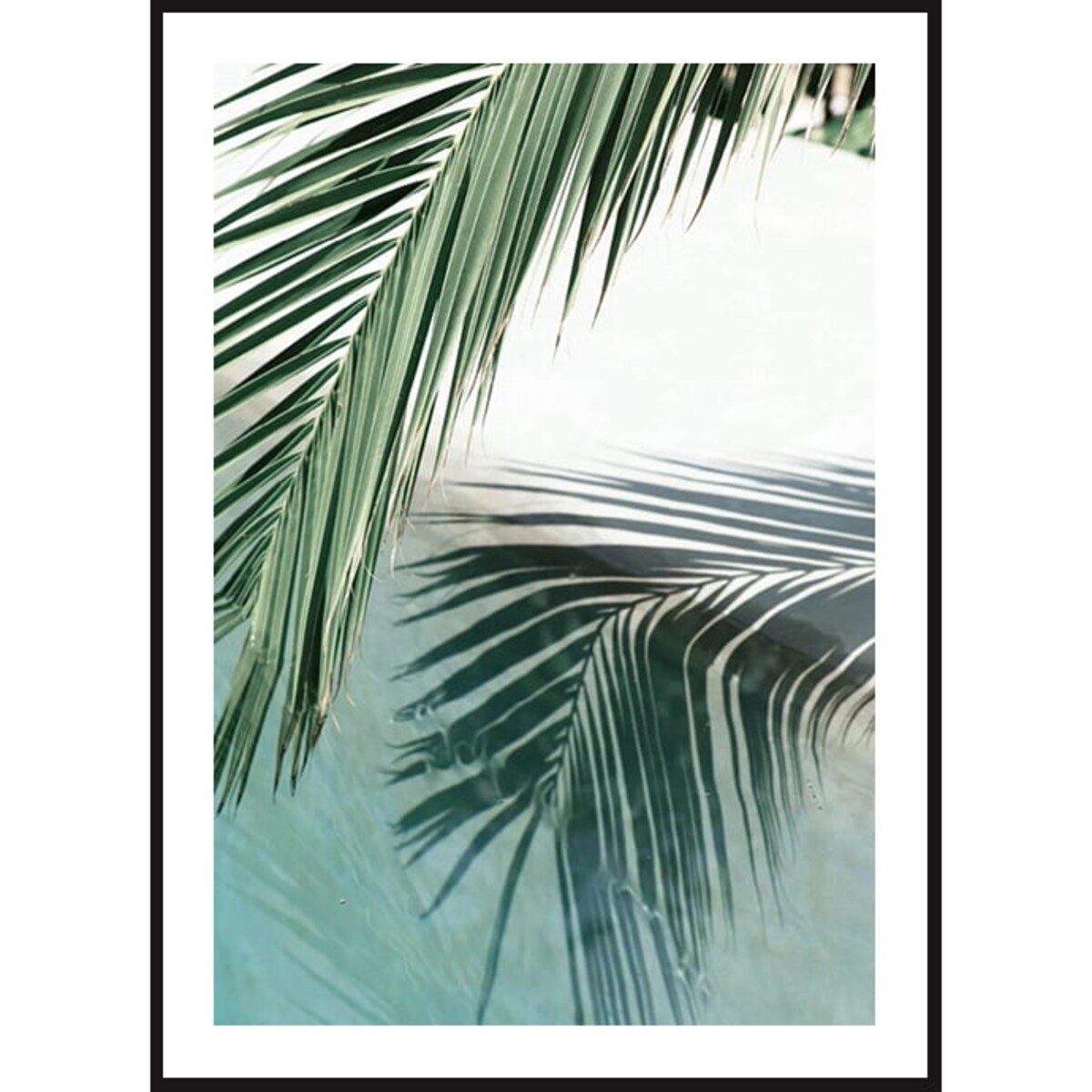 Poster Story, Plakat, Obraz - Cień Palmy, wymiary 30 x 42 cm
