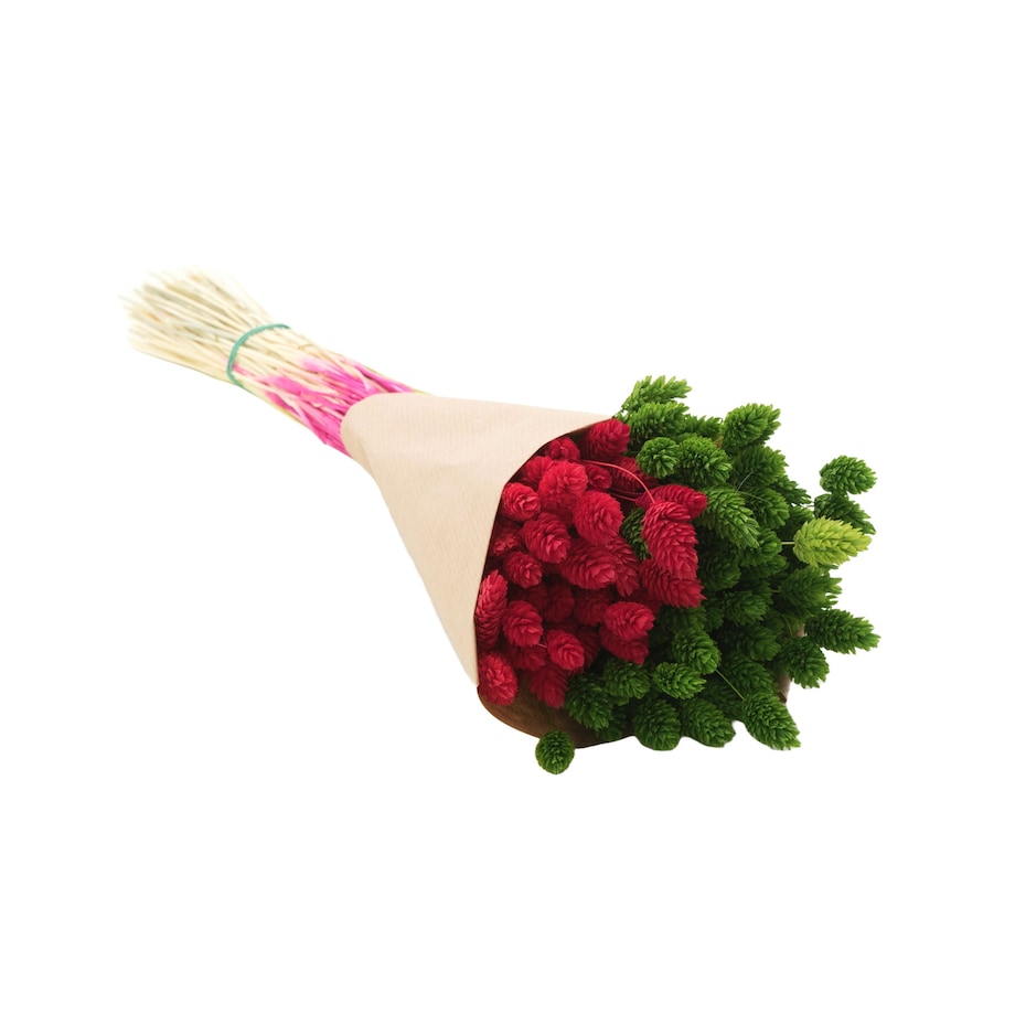 Zestaw suszych traw czerwień & zieleń